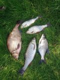 IMG_20240829_125042_864.jpg