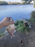 IMG_5820.jpeg