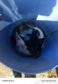 IMG_20240903_113814_593.jpg