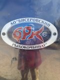 IMG_9250.jpeg