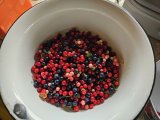 20240823_093942.jpg 20240823_093942.jpg