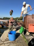 IMG_9284.jpeg