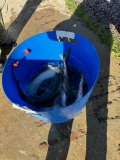 IMG_9316.jpeg