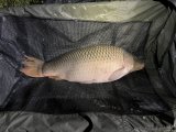 IMG_7727.jpeg