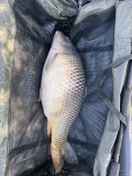 IMG_7783.jpeg