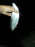 DSC00923.JPG