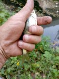 IMG_20240913_151941.jpg