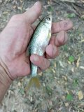 IMG_20240918_152122.jpg