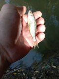 IMG_20240918_141047.jpg