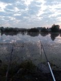 IMG_20240919_055732.jpg