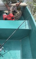 IMG_7053.jpeg