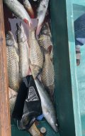 IMG_7050.jpeg