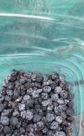 IMG_7049.jpeg