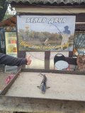 IMG-20240920-WA0004.jpg