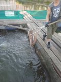 IMG-20240920-WA0005.jpg