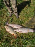 IMG-20240920-WA0005.jpg