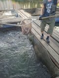 IMG_20240921_080244.jpg