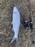 IMG_7151.jpeg