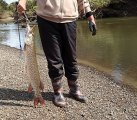 IMG_20240922_184809.jpg