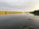 1727192787627.jpeg