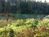 DSC04022.JPG