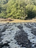 IMG_0636.jpeg