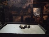 IMG_20240925_232649.jpg