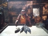 IMG_20240925_234625.jpg