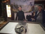 IMG_20240926_185009.jpg