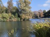 PXL_20240928_094320082.jpg