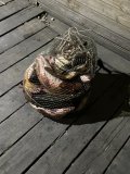 IMG_7182.jpeg
