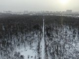 DJI_0309.JPG
