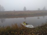 IMG_20241006_094702.jpg