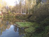 IMG_20241006_143548.jpg