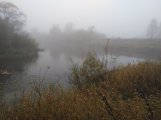 IMG_20241006_094649.jpg