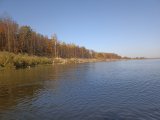 IMG_20241003_142258.jpg