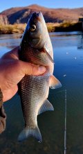 IMG_20241013_125556_678.jpg
