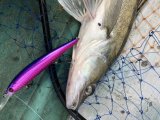 IMG_3319.jpeg
