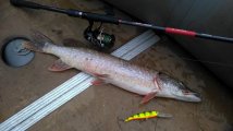 P_20241015_091218.jpg