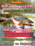 IMG-20241016-WA0000.jpg