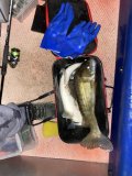 IMG_5496.jpeg