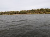 PXL_20241015_104624951.jpg
