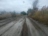 IMG-20241019-WA0003.jpg