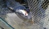 20140503_173339.jpg