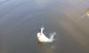 20140503_190353.jpg