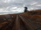 IMG-20241020-WA0006.jpg