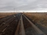 IMG-20241020-WA0005.jpg