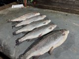 IMG_2980.jpeg