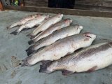 IMG_2923.jpeg