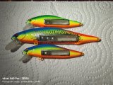 IMG_20240521_204421.jpg